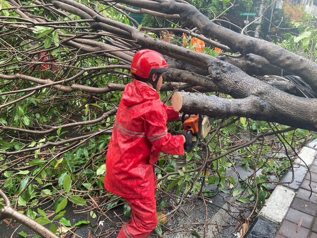 Petugas Dinas Gulkarmat memotong batang pohon yang tumbang dan menimpa kabel listrik di daerah Kelapa Gading, Jakarta Utara, pada Sabtu (5/3/2022). Cuaca ekstrem menyebabkan angin kencang di wilayah Jabodetabek.