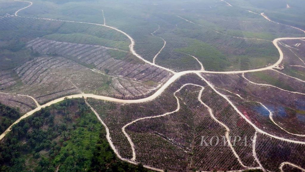 Perambahan hutan produksi di Cagar Biosfer Giam Siak Kecil-Bukit Batu terlihat sangat masif saat pemantauan Direktorat Jenderal Penegakan Hukum KLHK dengan menggunakan helikopter, Selasa (25/10) sekitar 25 menit dari Bandara Sultan Syarif Kasim II Riau.