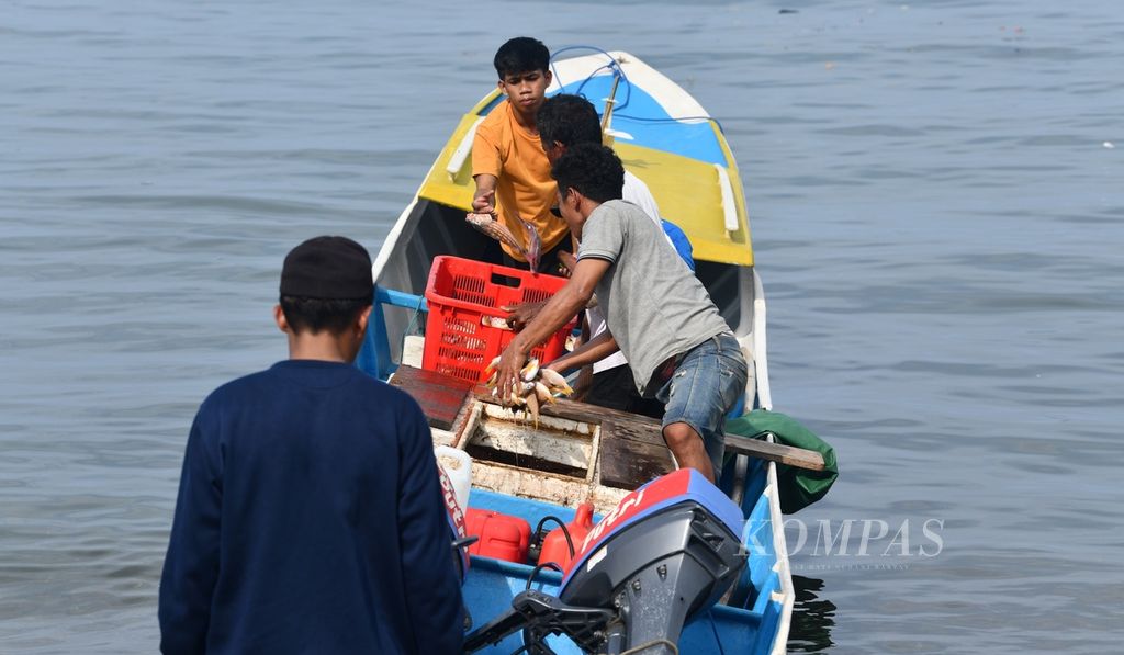 Nelayan menurunkan keranjang berisi ikan dari perahu motor di Desa Kawasi, Pulau Obi, Halmahera Selatan, Maluku Utara, Minggu (26/11/2023).