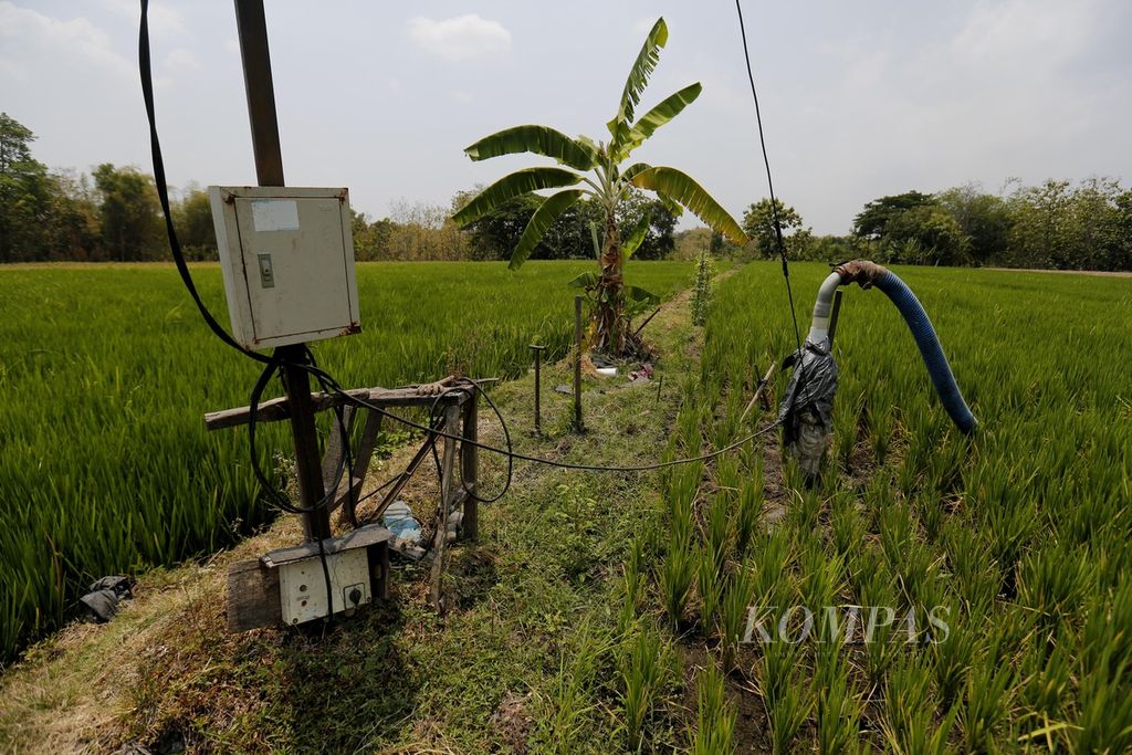 Gardu listrik untuk pompa air sumur bor terpasang di tengah persawahan di Desa Plosokerep, Karangmalang, Sragen, Jawa Tengah, Kamis (14/9/2023). Elektrifikasi ini membuat petani dapat menanami lahannya dengan padi tiga kali dalam setahun. Petani secara mandiri mengeluarkan dana hingga Rp 60 juta untuk setiap sumur bor yang dibuat dan menarik jaringan listrik.