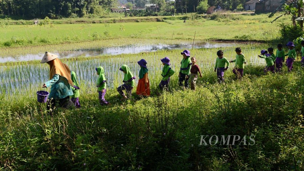 Children walk along the rice field dikes as part of the education method at the nature school in Kalirejo Village, Ungaran, Semarang Regency, Central Java, on Thursday (2/5/2019). Nature school has become one of the alternative educational institutions that are increasingly being developed.