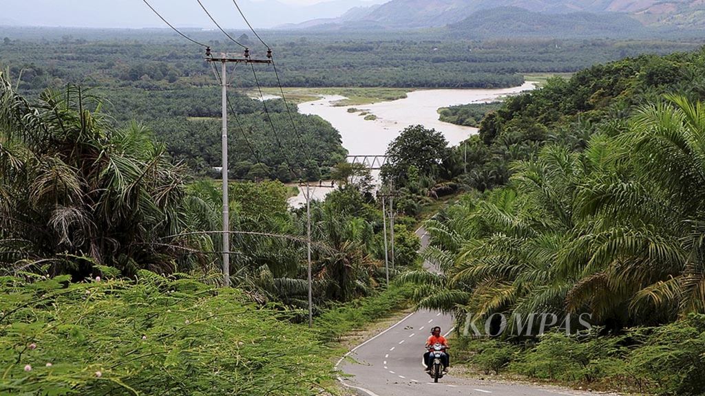Zona rehabilitasi Taman Nasional Gunung Leuser di Kecamatan Babul Rahmah, Kabupaten Aceh Tenggara, rusak karena ditanami sawit di lereng terjal hingga ke sempadan sungai. 