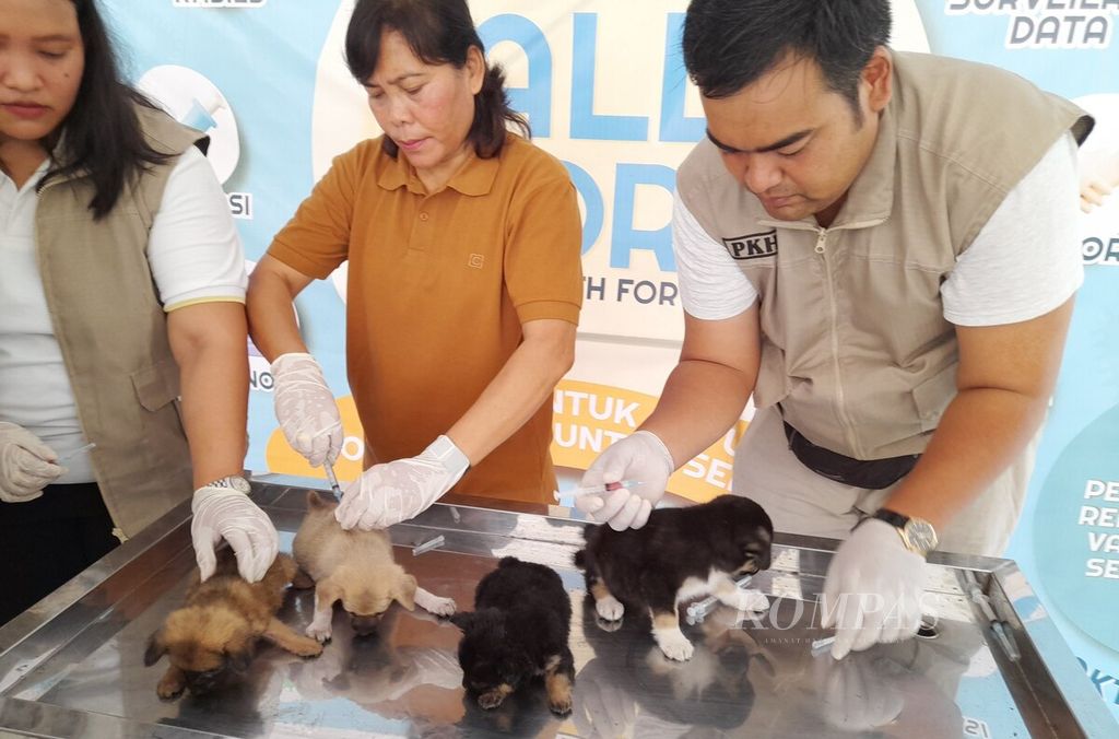 Dinas Pertanian dan Ketahanan Pangan Bali bersama sejumlah organisasi dan lembaga terkait penanganan rabies, Sabtu (7/10/2023), 