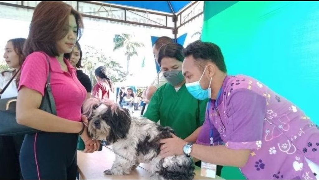 Kelompok warga pencinta anjing Flobamora Cenine Community Kota Kupang bekerja sama dengan Dinas Kesehatan dan Dinas Peternakan Kota Kupang melakukan vaksinasi rabies terhadap anjing peliharaan di Kupang, NTT, Sabtu (9/6/2023).