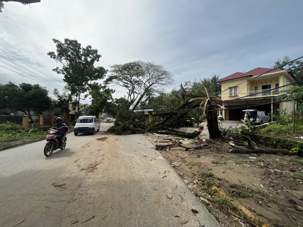 Sebuah pohon tumbang dan menutup sebagian badan jalan di Kecamatan Mandonga, Kendari, Sulawesi Tenggara, seperti terlihat pada Senin (6/3/2023). Cuaca ekstrem melanda wilayah Kendari dan sekitarnya pada Minggu (5/3/2023) petang yang berdampak pada sejumlah korban jiwa dan kerusakan bangunan di banyak tempat. BMKG memperingatkan agar warga tetap waspada selama beberapa hari ke depan.