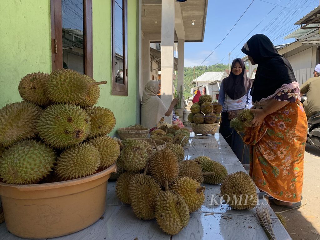 Para pengecer mengambil durian di pengepul di kawasan Kekait, Gunungsari, Lombok Barat, Nusa Tenggara Barat, Minggu (22/1/2023). Dibandingkan dua tahun sebelumnya, saat ini durian di Lombok berbauh jauh lebih baik.