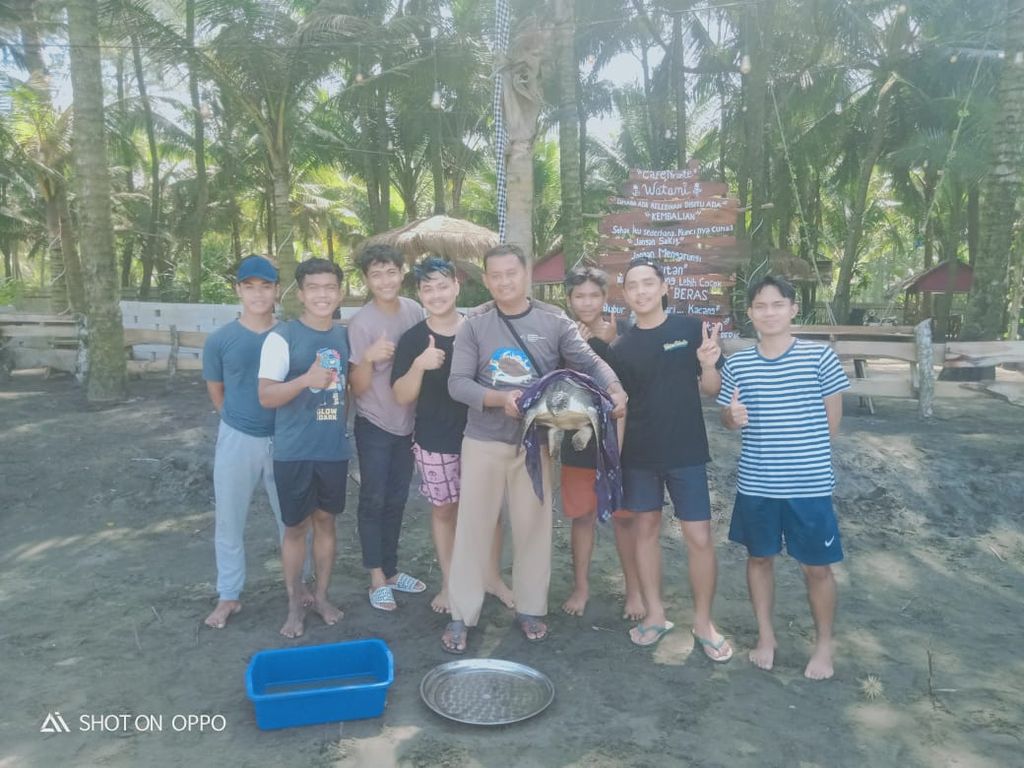 Seekor penyu lekang berusia sekitar 5 tahun ditemukan terdampar di Pantai Sidayu, Kabupaten Cilacap, Jawa Tengah, Selasa (5/7/2022). Penyu itu diduga sakit dan dalam kondisi lemas.