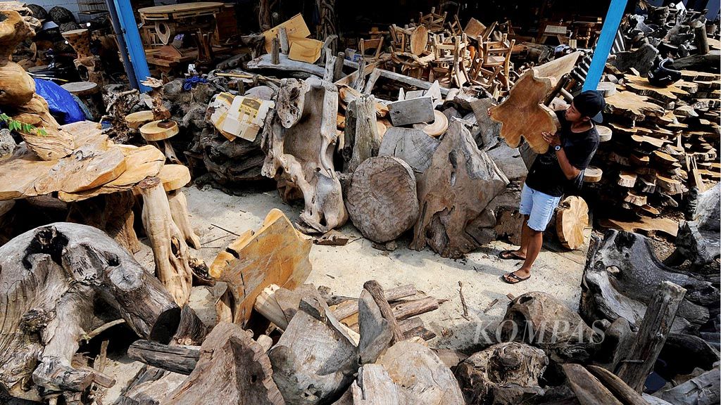 Perajin  memilih bahan  dari limbah akar kayu jati untuk dibuat kerajinan di Desa Mulyoharjo, Kecamatan Jepara, Kabupaten Jepara, Jawa Tengah, Jumat (24/3). Selain kesulitan bahan baku, perajin di Jepara kini juga harus bersaing dengan pemodal asing yang masuk ke industri kerajinan mebel.