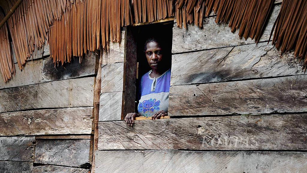 Warga tinggal  di rumah tradisional yang terbuat dari papan kayu dengan atap sirap di Kampung Yepem di Distrik Agats, Kabupaten Asmat, Papua, Rabu (31/1). Sebagian besar hunian warga tersebut tidak memiliki sanitasi yang layak dan sehat.