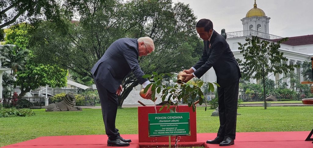 Presiden Joko Widodo dan Presiden Jerman Frank-Walter Steinmeier bersama menyiram pohon cendana (<i>Santalum album</i>) setelah menanamnya sebagai tanda persahabatan kedua negara. Hal ini dilakukan dalam kunjungan kenegaraan Presiden Steinmeier ke Istana Kepresidenan Bogor, Kamis (16/6/2022).
