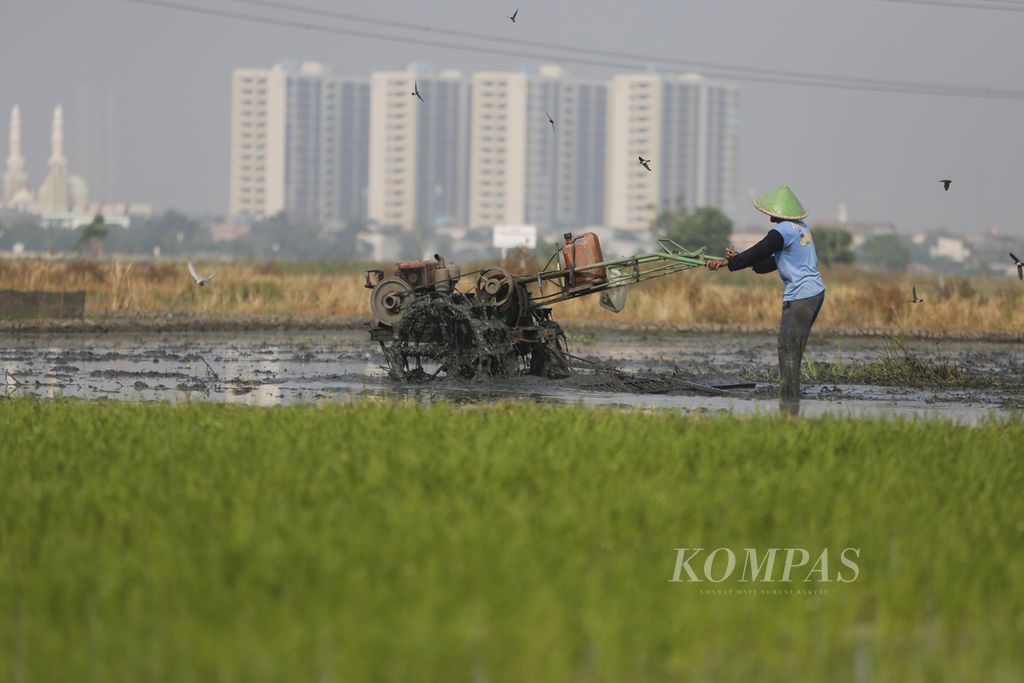 Di tengah ancaman El Nino yang memicu kekeringan berkepanjangan, petani membajak sawah di daerah Rorotan, Jakarta Utara, Jumat (8/9/2023).