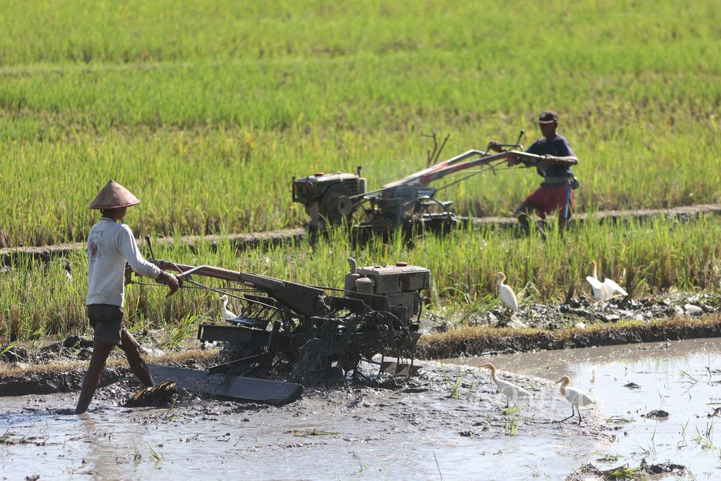 Buruh tani membajak sawah dengan menggunakan traktor di Desa Trirenggo, Kecamatan Bantul, Kabupaten Bantul, DI Yogyakarta, Senin (26/2/2024). Sebagian besar petani di kawasan itu baru memulai masa tanam pada akhir Februari. El Nino menjadi salah satu penyebab mundurnya masa tanam padi yang biasanya berlangsung pada  Oktober-Desember.