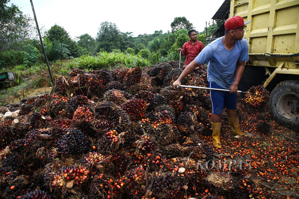 https://cdn-assetd.kompas.id/Amy_Mp7P26yMiAllcUeUZOUOGpY=/1024x683/filters:watermark(https://cdn-content.kompas.id/umum/kompas_main_logo.png,-16p,-13p,0)/https%3A%2F%2Fkompas.id%2Fwp-content%2Fuploads%2F2021%2F03%2Fb7fce647-78b1-4041-ab48-b9052698f145_jpg.jpg