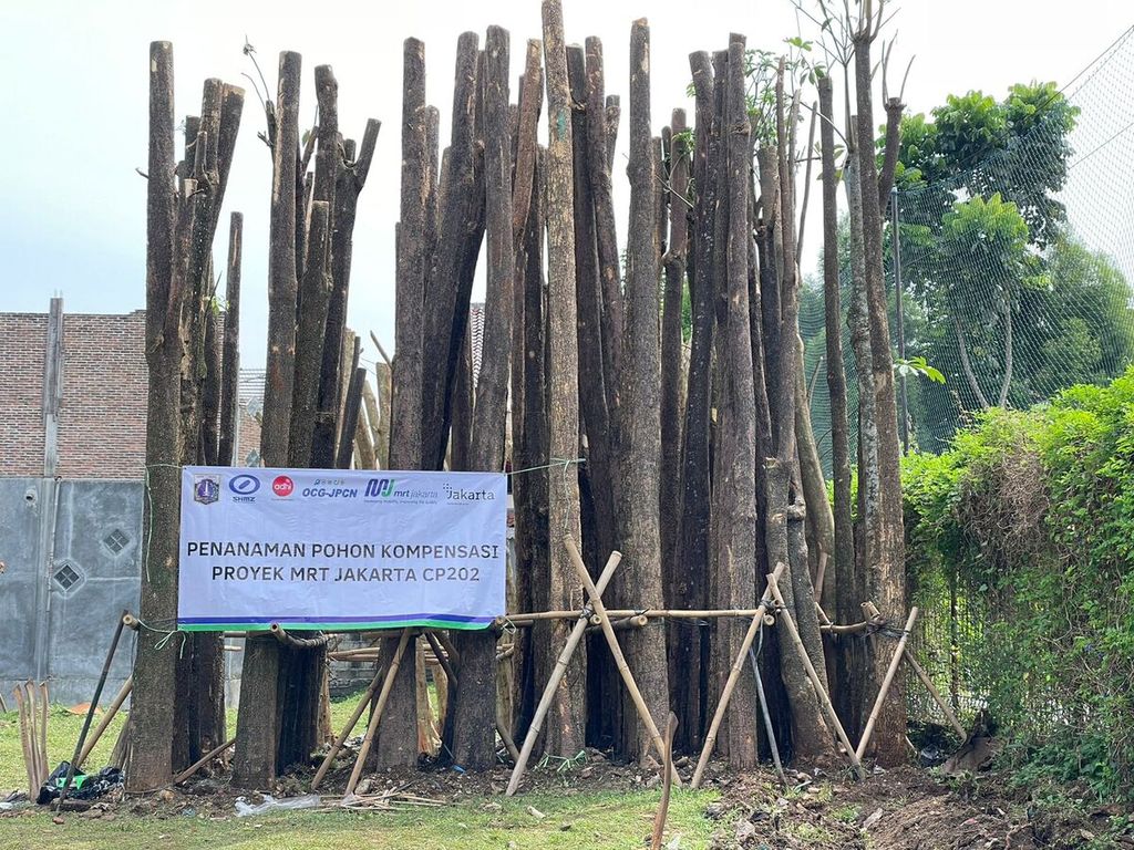  Pembangunan CP 202 Fase 2A MRT Jakarta sudah dimulai sejak 27 Juli 2022. Terbentang dari Harmoni ke Mangga Besar, ada 517 pohon yang terdampak di awal persiapan konstruksi. Sesuai regulasi, MRT Jakarta wajib mengganti pohon terdampak. Dengan 517 pohon terdampak,  perlu ada penggantian 5.170 pohon. Saat ini MRT Jakarta sudah menanam secara bertahap pohon-pohon pengganti tersebut di kebun bibit milik Dinas Pertamanan dan Hutan Kota (Distamhut) DKI Jakarta. Ada 1.531 pohon dari 5.170 pohon yang sudah ditanam.