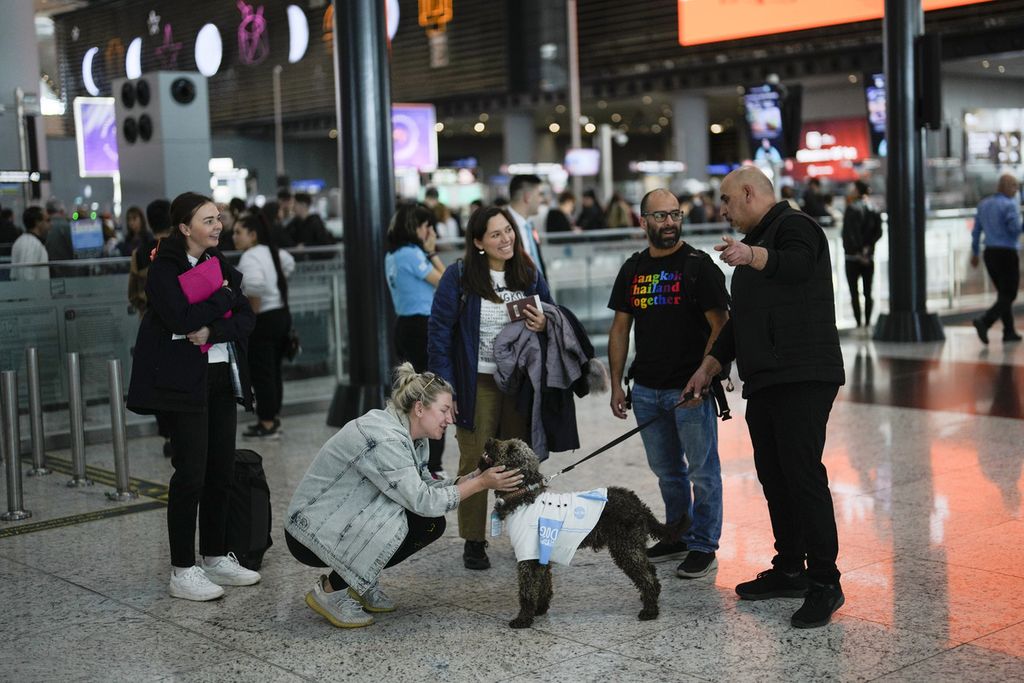 Seorang penumpang bermain-main dengan Kuki, anjing terapi di Bandara International Istanbul, Turki, Rabu (3/4/2024). 