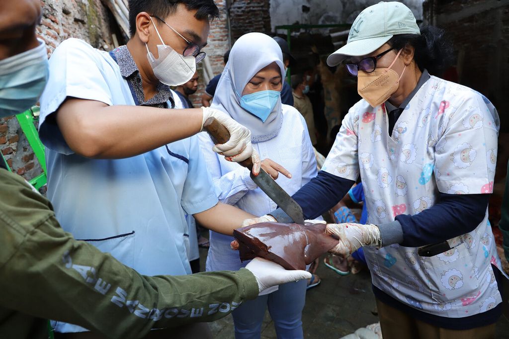 Petugas memeriksa kesehatan hewan kurban sebelum dilakukan penyembelihan di Kota Surabaya, Sabtu (9/7/2022).