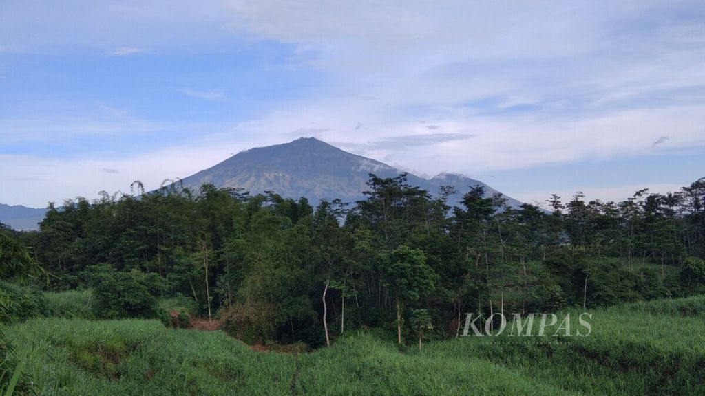 Gunung Arjuno di perbatasan Kota Batu, Kabupaten Malang, dan Pasuruan terlihat dari kejauhan, beberapa waktu lalu. 
