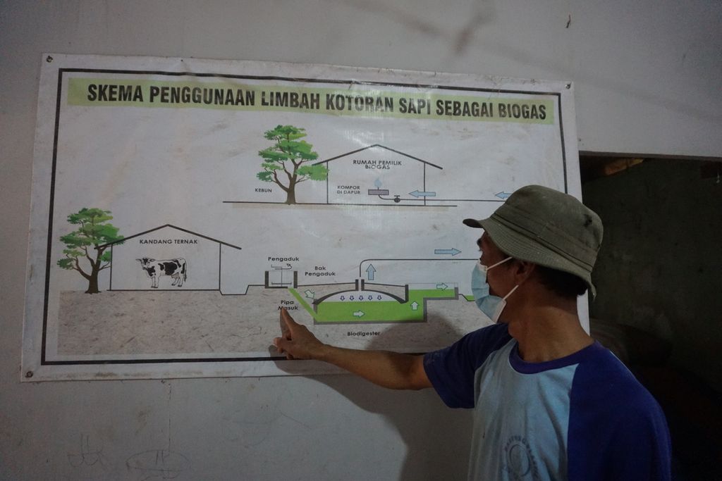 Salimin (46) menunjukkan alur pemanfaatan kotoran sapi di Dusun Silembu, Desa Karangjambe, Kecamatan Wanadadi, Kabupaten Banjarnegara, Jawa Tengah, Kamis (3/9/2021).