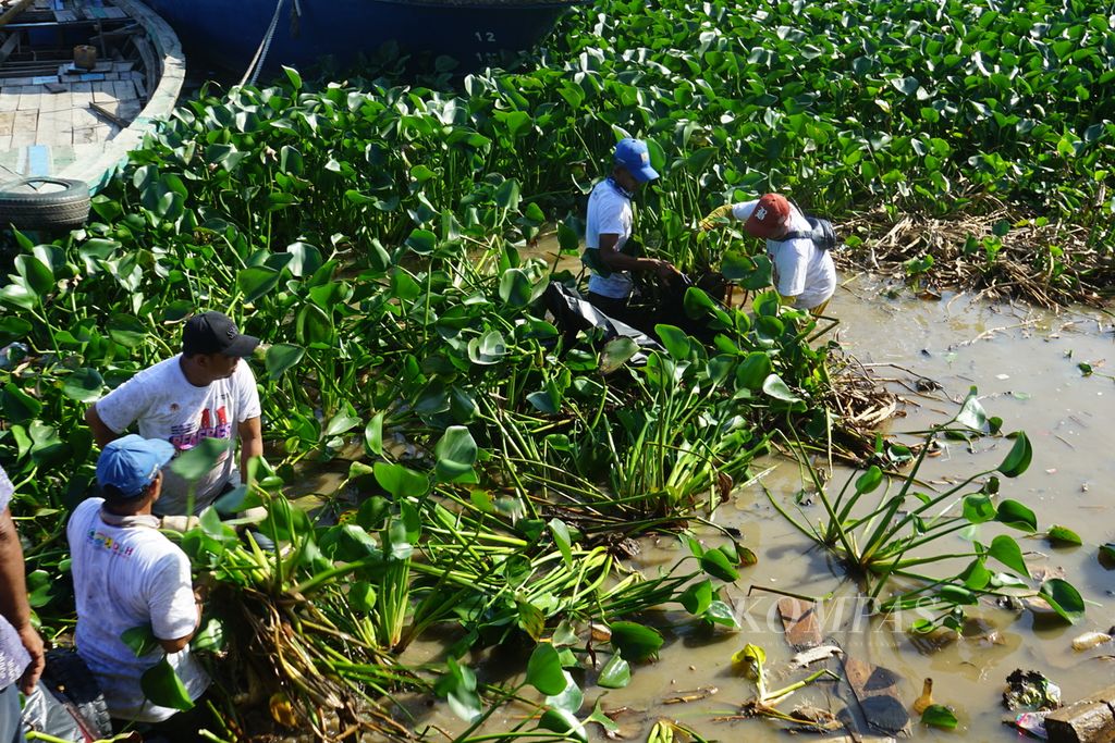 Beberapa petugas membersihkan tepian Sungai Musi dari sampah dan tanaman eceng gondok, Sabtu (10/6/2023). Berdasarkan kajian dari Pemkot Palembang, potensi sampah dari sungai di kota Palembang mencapai 90 ton yang didominasi limbah rumah tangga.