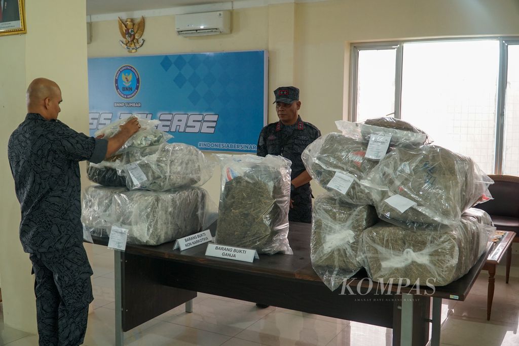 Petugas menyusun barang bukti ganja seberat 105 kg di kantor BNNP Sumatera Barat, Padang, Sumbar, Selasa (4/10/2022). Ganja tersebut hasil pengungkapan tiga kasus peredaran narkoba oleh BNNP Sumbar dan BNNK Pasaman Barat di Pasaman Barat dan Pasaman selama 20-27 September 2022