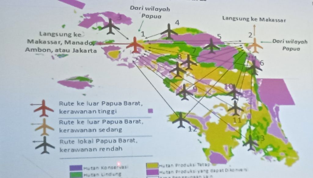 Peta identifikasi rute rawan penyelundupan satwa endemik Papua yang disusun Balai Besar Konservasi Sumber Daya Alam Papua Barat.