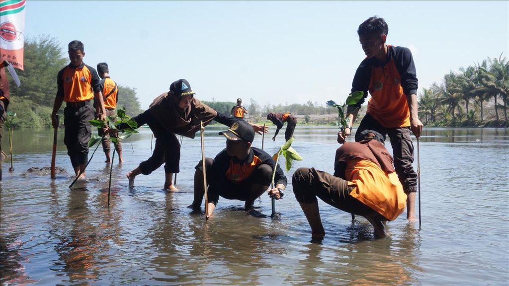 Para pelajar dan relawan dari sejumlah komunitas menanam mangrove di Pantai Laguna, Lembupurwo, Kecamatan Mirit, Kebumen, Jawa Tengah, Selasa (30/7/2019). Mangrove dinilai efektif mengurangi terjangan gelombang tsunami hingga 50 persen.