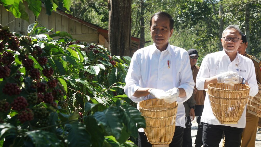 Presiden Joko Widodo meninjau perkebunan kopi di Desa Kembahang, Kecamatan Batubrak, Kabupaten Lampung Barat, Lampung, Jumat (12/7/2024). Presiden Joko Widodo menekankan soal pentingnya memacu produktivitas kopi di Tanah Air. 