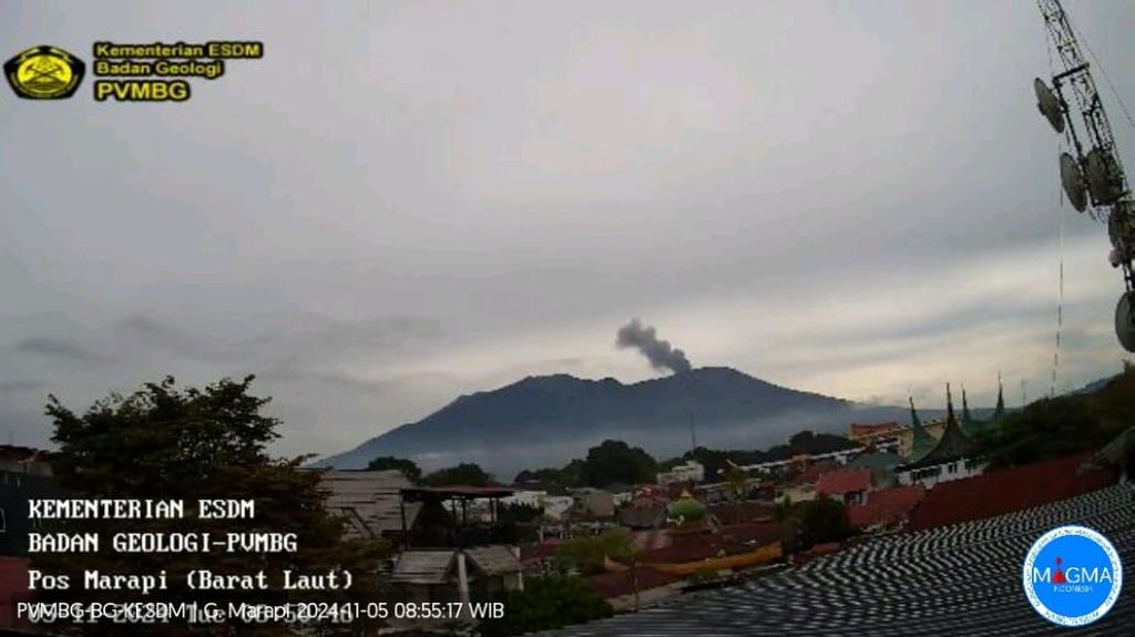 Gunung Marapi di Sumatera Barat mengeluarkan abu vulkanik dalam letusan yang terjadi pada Selasa (5/11/2024) pukul 08.46.