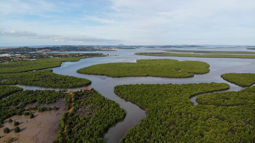 Kawasan Rehabilitasi Hutan dan Lahan (RHL) bakau di Kecamatan Tanjung Piayu, Batam, Kepulauan Riau, pada 2020. Luas hutan bakau di sana saat itu sekitar 600 hektar.