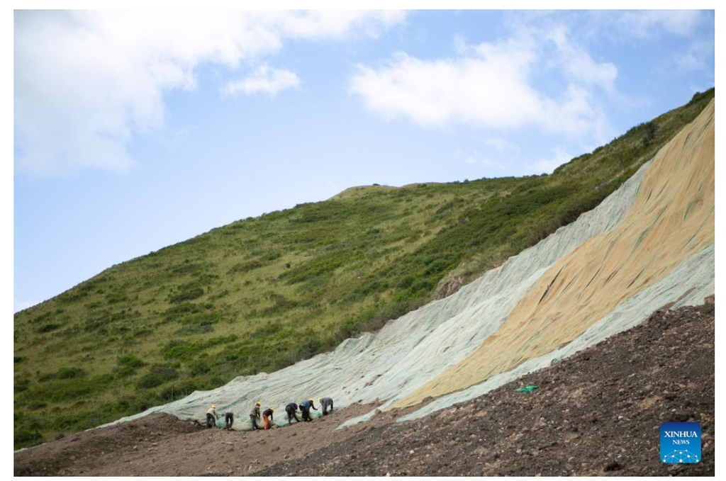 Tangkapan layar pemanfaat selimut sabut kelapa yang digunakan untuk merestorasi kawasan bekas tambang menjadi padang rumput di Desa Gaerma, Kota Tangke, Ruoergai, Provinsi Sichuan, China (Xinhua, 13/9/2023).