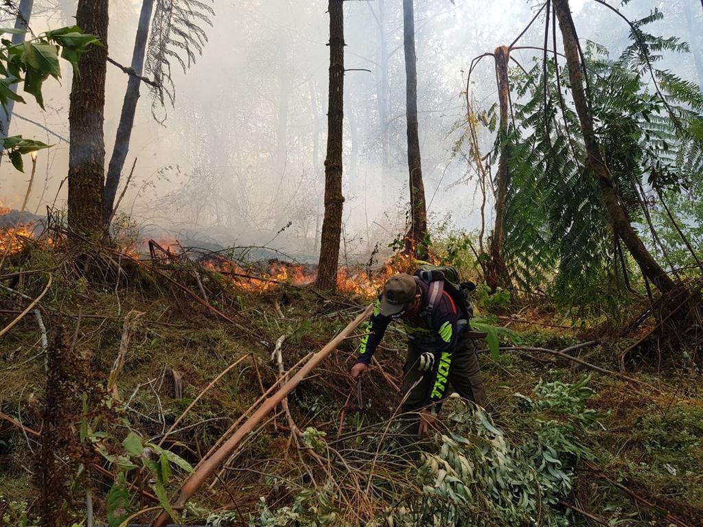 Petugas berupaya memadamkan api di Desa Cikaracak, Kecamatan Argapura, Kabupaten Majalengka, Jawa Barat, Selasa (22/10/2019).