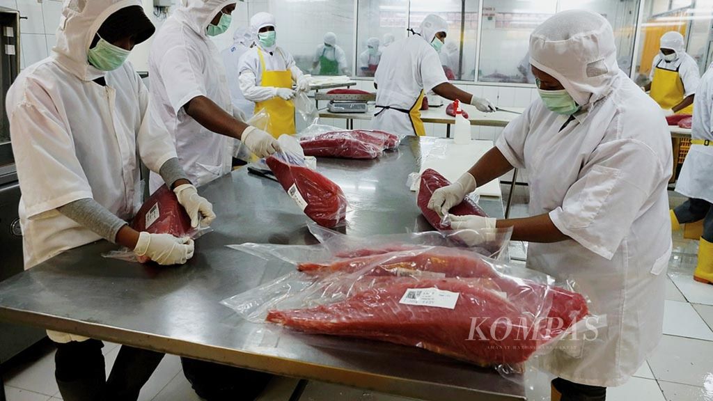 Karyawan perusahaan pengolahan makanan laut PT Harta Samudra tengah memproses ikan tuna sirip kuning kualitas ekspor di Kota Ambon, Maluku, Kamis (9/2/2017).