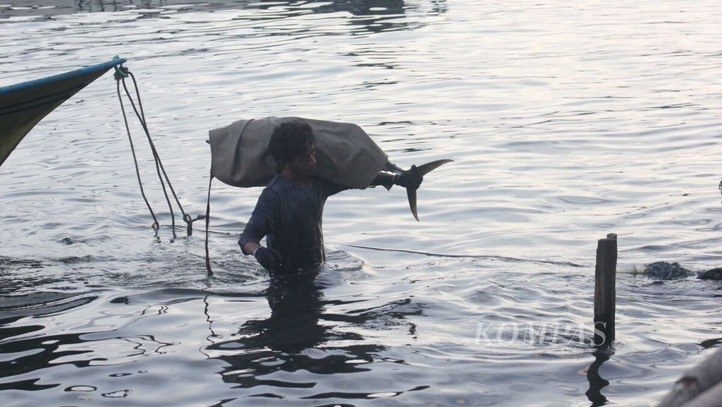 Seorang nelayan di Desa Sangowo, Kecamatan Morotai Timur, Kabupaten Pulau Morotai, Maluku Utara, Rabu (27/7/2022), memanggul tuna dari atas perahu untuk dibawa ke tempat penimbangan di bibir pantai. 
