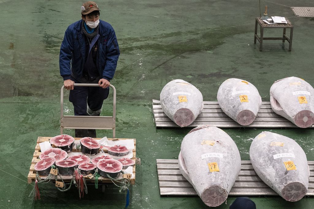 Seorang pekerja mendorong troli berisi daging tuna di pelelangan tuna pertama di Pasar Ikan Toyosu, Tokyo, Jepang, 5 Januari 2023. 
