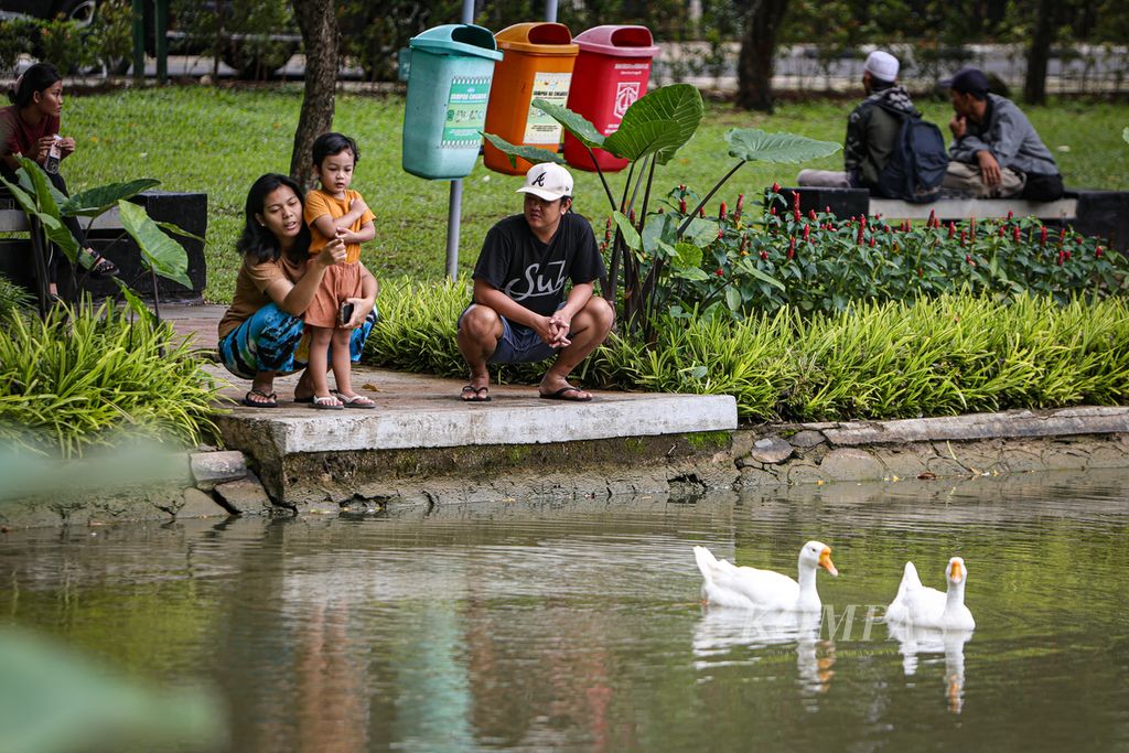 Anak dan kedua orangtuanya melihat kawanan angsa di Taman Situ Lembang, Jakarta Pusat, Senin (18/3/2024).  