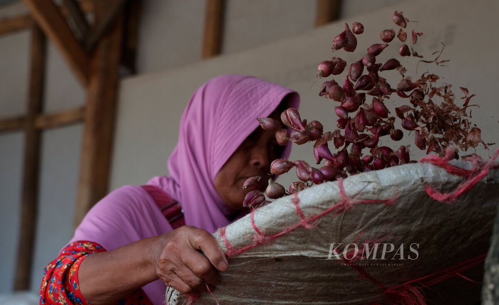 Pekerja menampi bawang merah untuk dibersihkan dari sisa tanah sebelum dikemas dan dijual di Kecamatan Larangan, Kabupaten Brebes, Jawa Tengah, Jumat (12/5/2023).