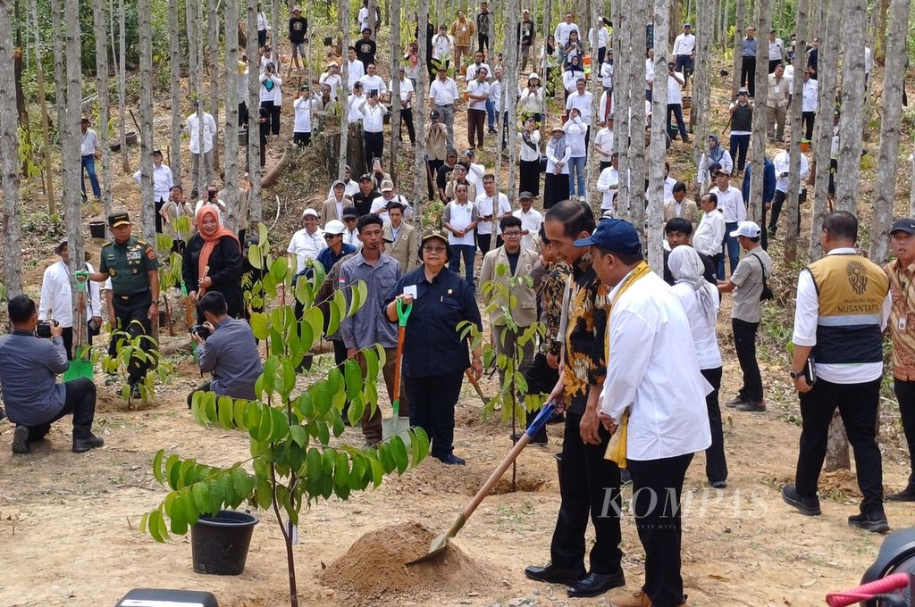 Presiden Joko Widodo menanam pohon saat pencanangan Wanagama Nusantara yang dibangun oleh Universitas Gadjah Mada, Yogyakarta, di IKN, Jumat (13/9/2024).