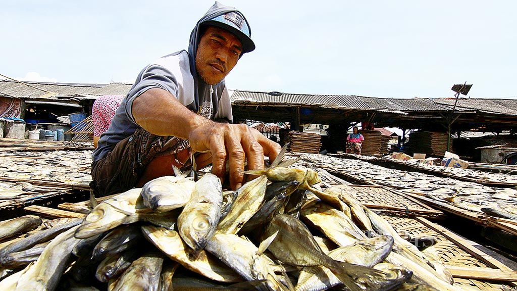 Pedagang ikan menjemur ikan kembung di Tempat Pelelangan Ikan Pelabuhan Muncar, Banyuwangi, Jumat (9/6). Dalam dua tahun terakhir, hasil tangkapan nelayan Muncar menurun drastis sehingga berdampak pada tingginya harga ikan.