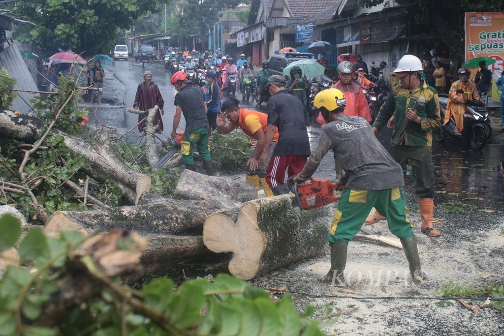 Sebuah pohon tumbang menimpa pengguna jalan di Jalan Raya Bandulan, Kota Malang, Jawa Timur, Selasa (16/3/2021). 