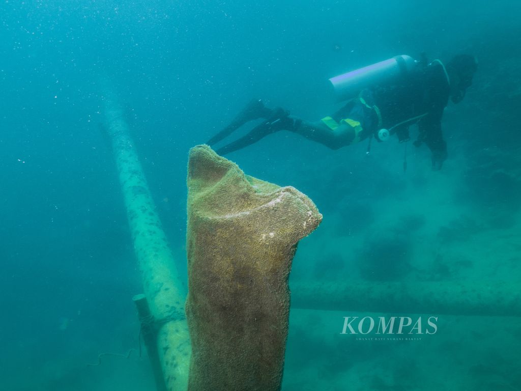 Pipa untuk menyedot air menuju tambak udang melintang di kawasan konservasi di Taman Nasional Karimunjawa, Kecamatan Karimunjawa, Jepara, Jawa Tengah, Selasa (16/4/2024).