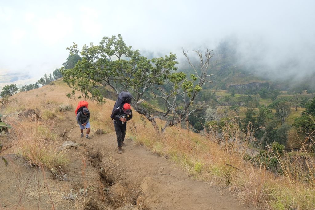 Pendaki berjalan pelan menaklukkan tanjakan di titik Cemara Siu Rinjani, September 2020.