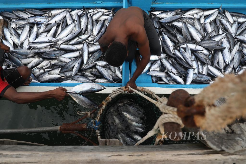 Nelayan membawa ikan yang akan dijual ke PT Industri Perikanan Namatota (IPN) di Desa Namatota, Distrik Kaimana, Kabupaten Kaimana, Papua Barat Senin (14/6/2021). 