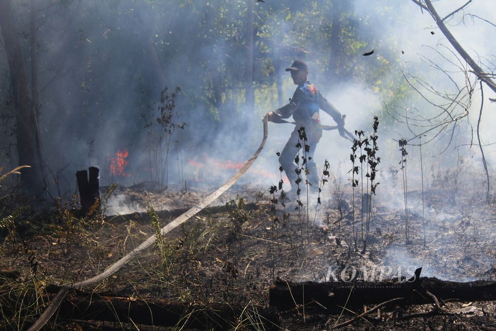 Salah satu petugas pemadam kebakaran berlari mengejar api dan memadamkannya agar tak merambat ke perumahan terdekat di Kota Palangkaraya, Kalteng, Minggu (13/8/2023). 