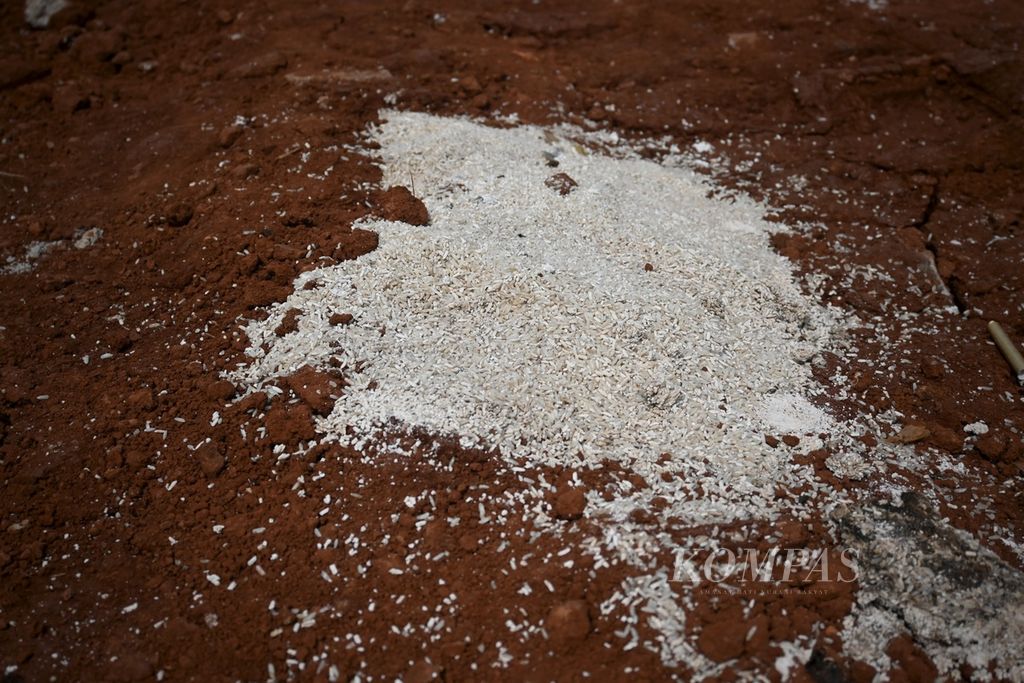 Butir-butir beras berserakan di lokasi temuan berkarung-karung beras yang dikubur di sebuah lahan kosong di Jalan Tugu Jaya, Kelurahan Tirtajaya, Kecamatan Sukmajaya, Kota Depok, Jawa Barat, Minggu (31/7/2022) siang.
