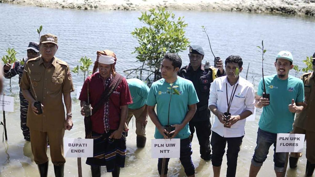 Penanaman mangrove oleh PLN Wilayah Flores di salah satu pantai di Kabupaten Ende. Kegiatan ini dalam rangka memperingati Hari Mangrove Sedunia pada 31 Juli 2023.