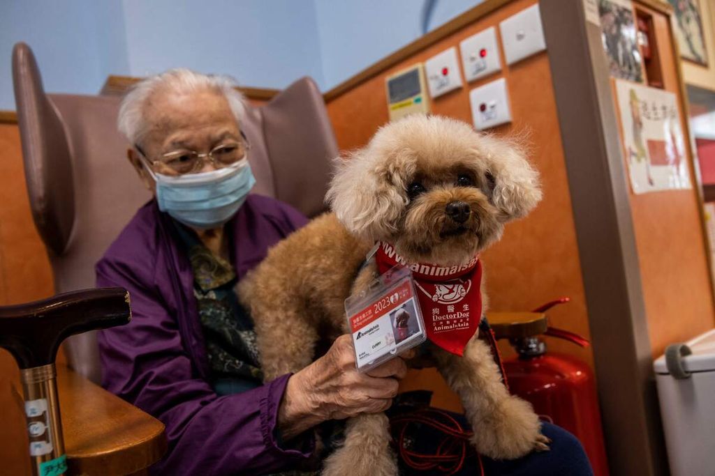 Foto yang diambil pada 25 Oktober 2023 ini menunjukkan seekor anjing terapi mengunjungi orang-orang di pusat penitipan warga lansia di Hong Kong. 