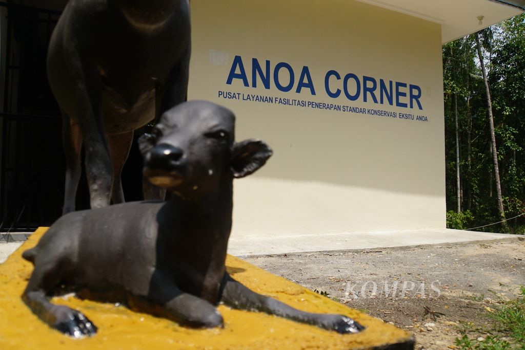 Anoa Corner, yaitu pusat informasi mengenai Anoa Breeding Center Manado, Sulawesi Utara, berdiri di samping klinik yang diresmikan pada Jumat (3/11/2023). Saat ini sebanyak 11 anoa dirawat di pusat konservasi <i>ex situ</i> tersebut.