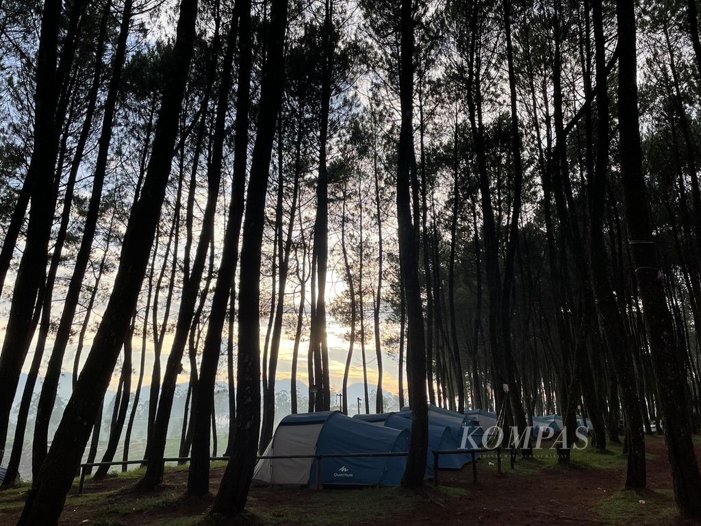 Pemandangan areal Datar Pinus Camp, Pulosari, Pangalengan, Bandung, Jawa Barat, Rabu (27/12/2023).