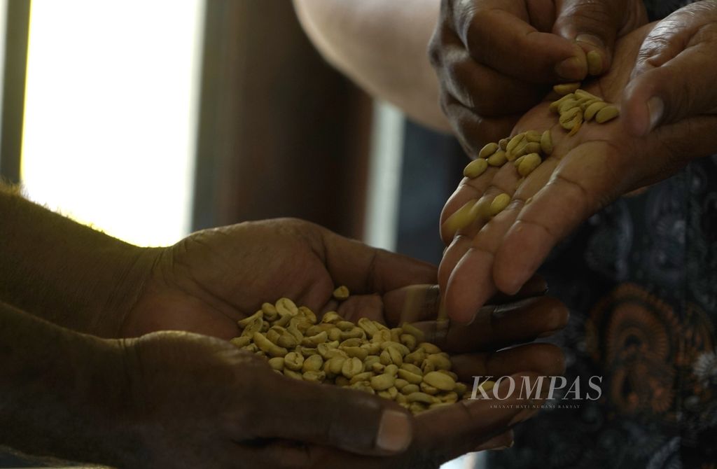 Arabica coffee beans are ready to be sorted before the roasting process at Amungme Gold Coffee House, Timika, Papua, Thursday (17/3/2022).