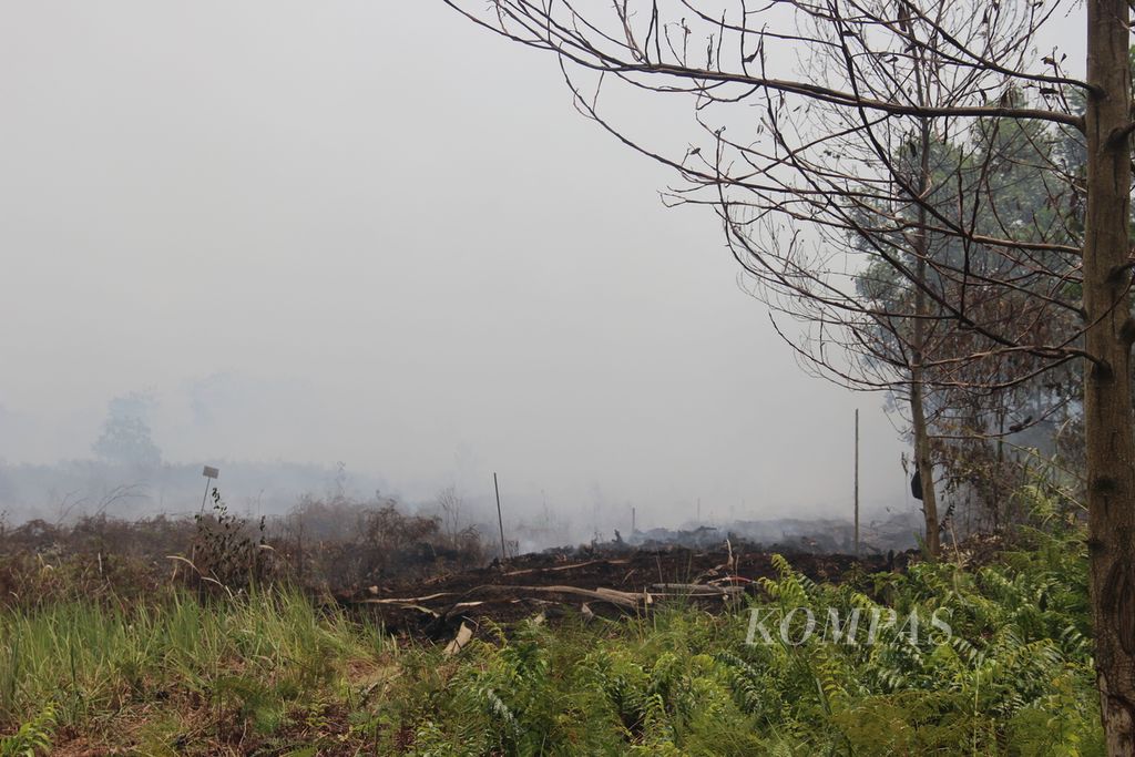 Kebakaran lahan gambut di Kecamatan Sungai Raya, Kabupaten Kubu Raya, Kalimantan Barat, Senin (21/8/2023).